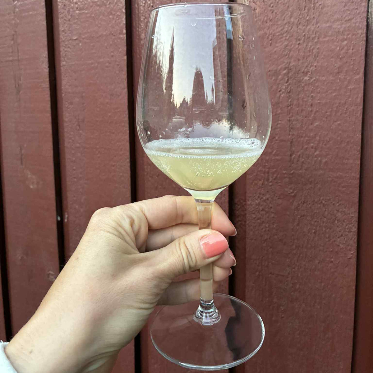 Sparkling Sauvignon Blanc 2024